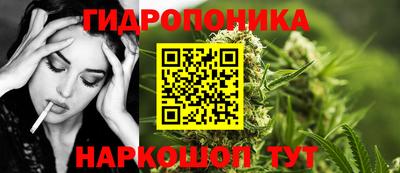 индика Мариинск