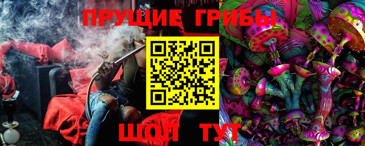 Галлюциногенные грибы Psilocybine cubensis  Вход с VPN  Псилоцибиновые грибы GOLDEN TEACHER  Черняховск 