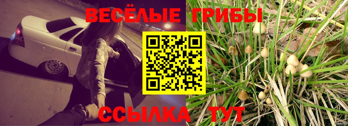 Галлюциногенные грибы мицелий Черняховск